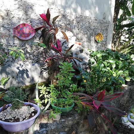 Mayan Bungalow Near Chichen Luaran gambar