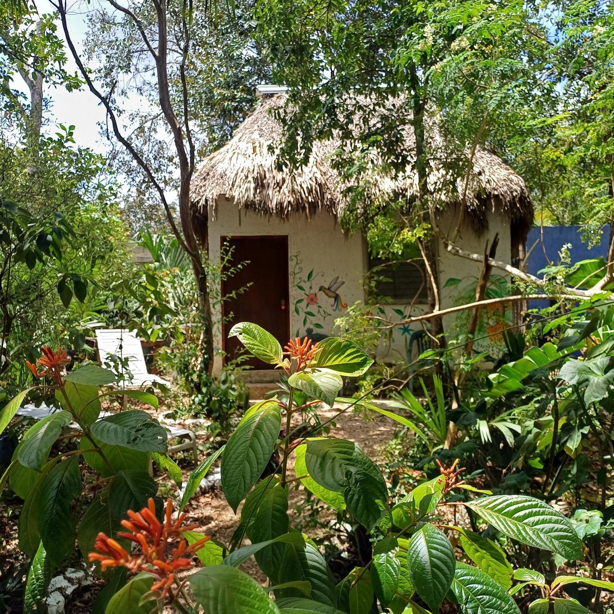 Mayan Bungalow Near Chichen Luaran gambar