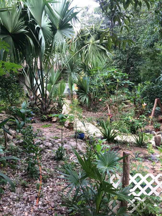 Mayan Bungalow Near Chichen Luaran gambar